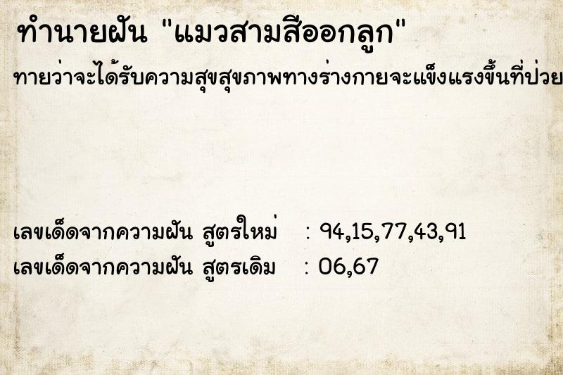 ทำนายฝันแมวสามสีออกลูก ทำนายฝันทำนายฝันแมวสามสีออกลูก