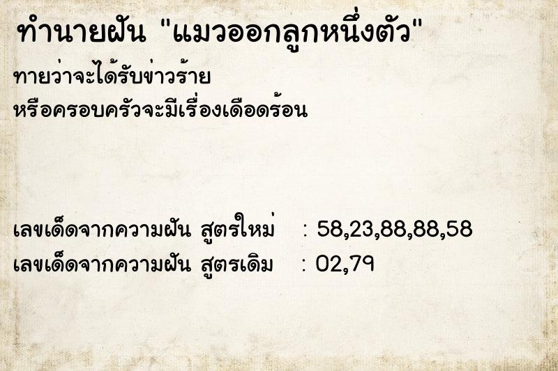 ทำนายฝันทำนายฝันแมวออกลูกหนึ่งตัว
