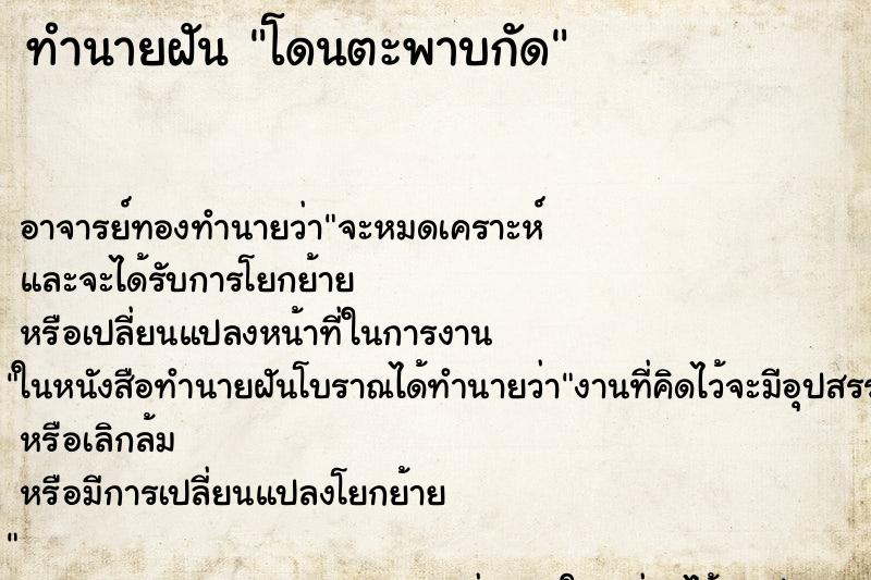 ทำนายฝัน โดนตะพาบกัด ตำราโบราณ แม่นที่สุดในโลก