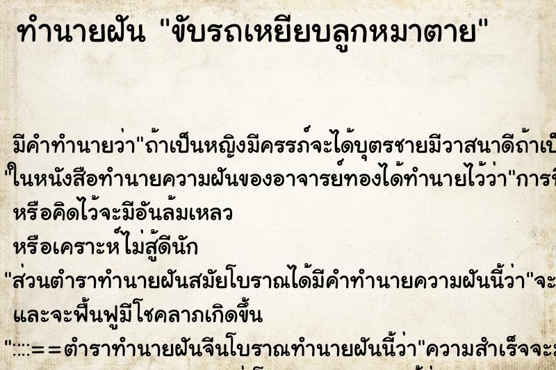 ทำนายฝัน ขับรถเหยียบลูกหมาตาย ทำนายฝัน ขับรถเหยียบลูกหมาตาย