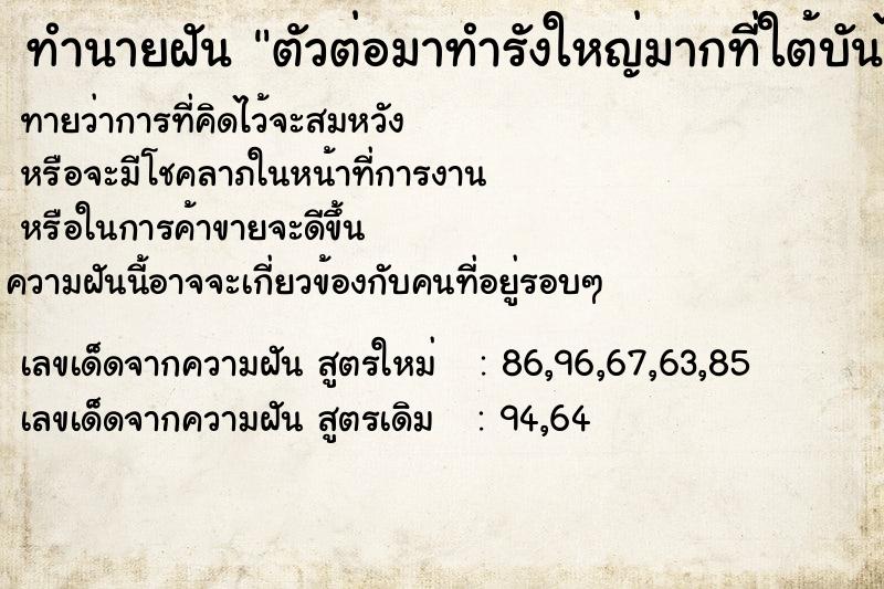 ทำนายฝันตัวต่อมาทำรังใหญ่มากที่ใต้บันไดบ้าน ทำนายฝันทำนายฝันตัวต่อมาทำรังใหญ่มากที่ใต้บันไดบ้าน