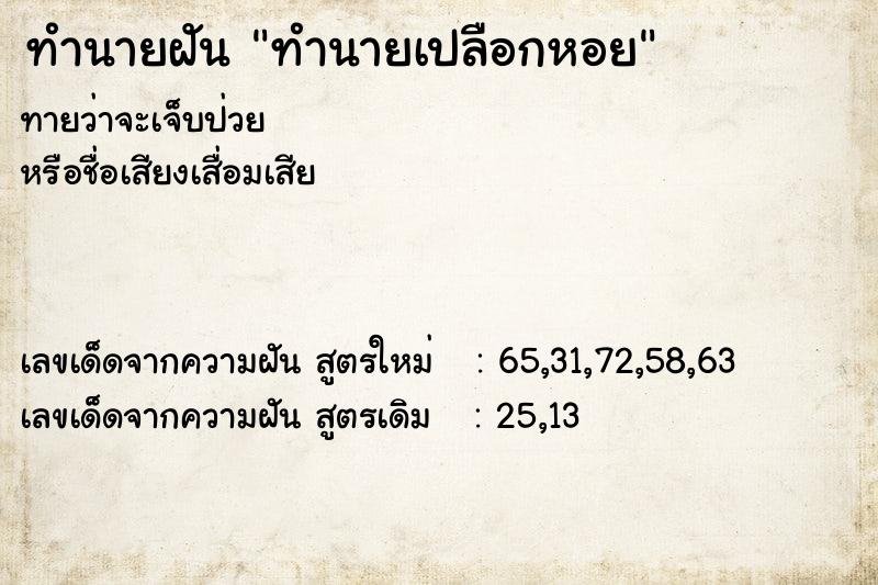ทำนายฝันทำนายเปลือกหอย ทำนายฝันทำนายฝันทำนายเปลือกหอย