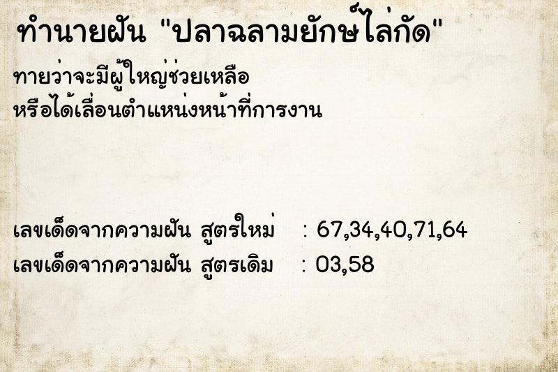 ทำนายฝันทำนายฝันปลาฉลามยักษ์ไล่กัด