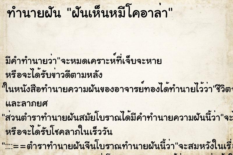 ทำนายฝัน ฝันเห็นหมีโคอาล่า ทำนายฝัน ฝันเห็นหมีโคอาล่า