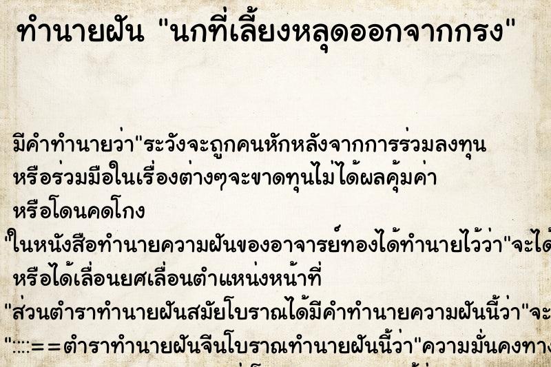 ทำนายฝัน นกที่เลี้ยงหลุดออกจากกรง