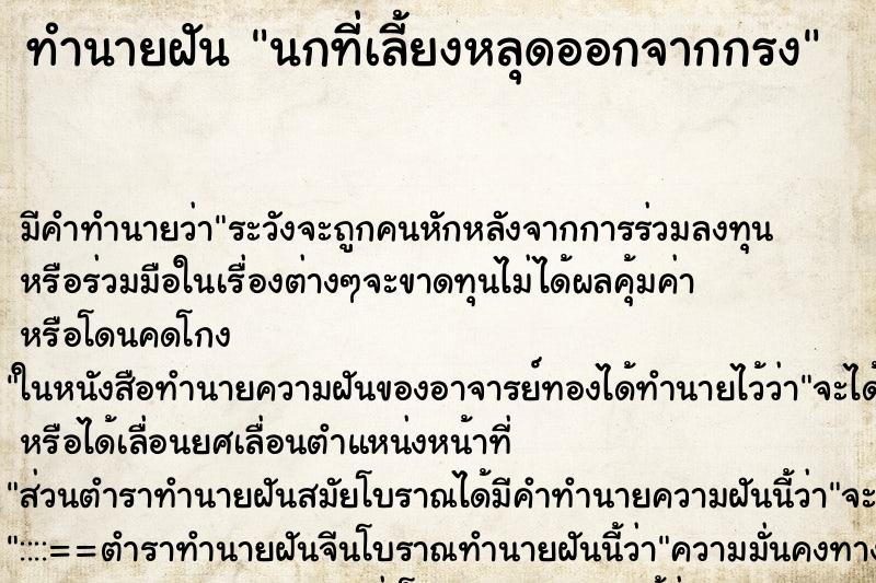 ทำนายฝัน นกที่เลี้ยงหลุดออกจากกรง ตำราโบราณ แม่นที่สุดในโลก