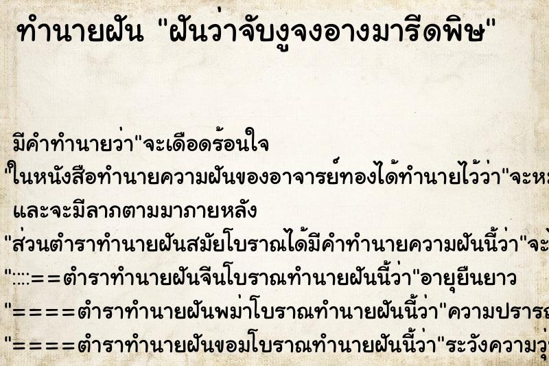 ทำนายฝัน ฝันว่าจับงูจงอางมารีดพิษ ตำราโบราณ แม่นที่สุดในโลก