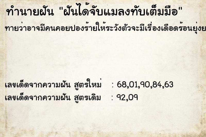 ทำนายฝัน ฝันได้จับแมลงทับเต็มมือ ทำนายฝัน ฝันได้จับแมลงทับเต็มมือ