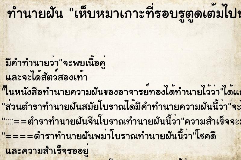 ทำนายฝัน เห็บหมาเกาะที่รอบรูตูดเต้มไปหมดเลย