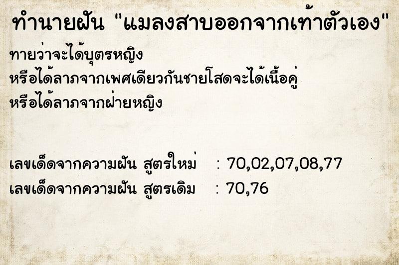 ทำนายฝันทำนายฝันแมลงสาบออกจากเท้าตัวเอง