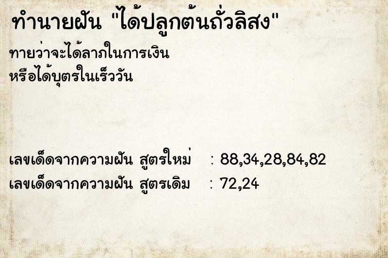 ทำนายฝันได้ปลูกต้นถั่วลิสง ทำนายฝันทำนายฝันได้ปลูกต้นถั่วลิสง
