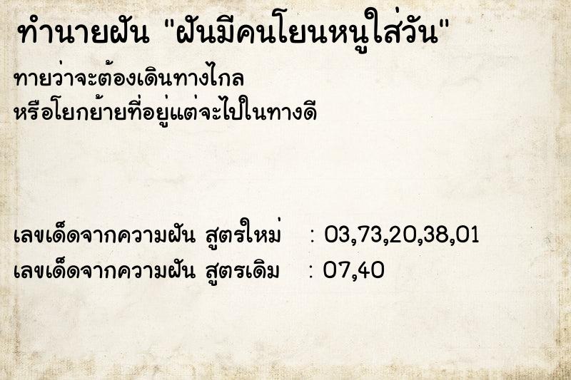 ทำนายฝันฝันมีคนโยนหนูใส่วัน ทำนายฝันทำนายฝันฝันมีคนโยนหนูใส่วัน