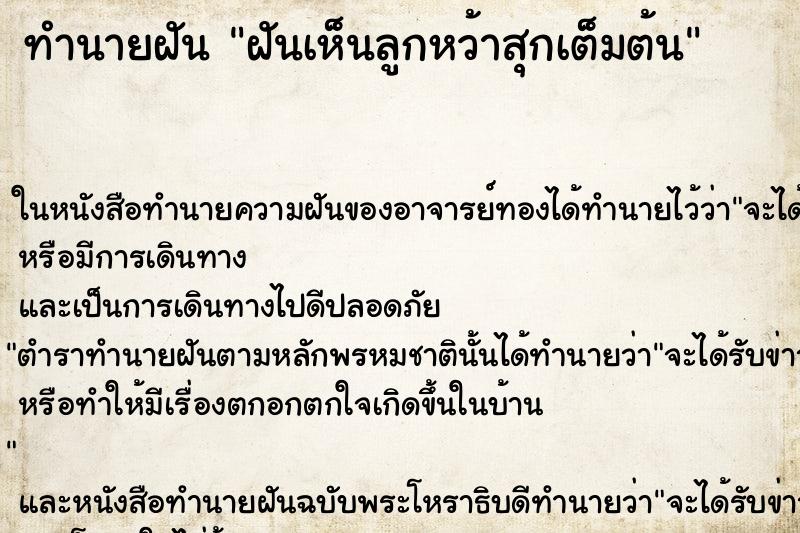 ทำนายฝันฝันเห็นลูกหว้าสุกเต็มต้น ทำนายฝันทำนายฝันฝันเห็นลูกหว้าสุกเต็มต้น