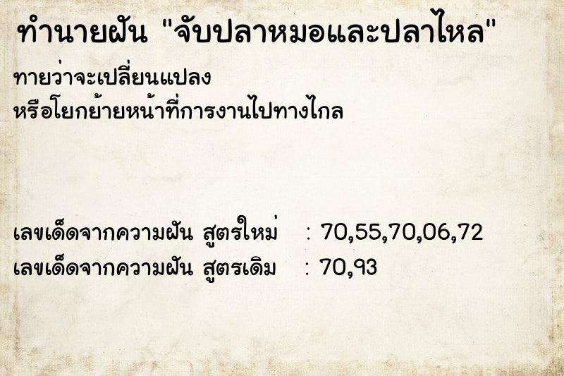ทำนายฝันจับปลาหมอและปลาไหล ทำนายฝันทำนายฝันจับปลาหมอและปลาไหล