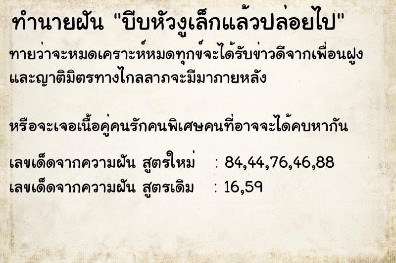 ทำนายฝันทำนายฝันบีบหัวงูเล็กแล้วปล่อยไป