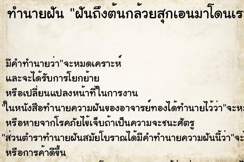 ทำนายฝันฝันถึงต้นกล้วยสุกเอนมาโดนเรา ทำนายฝันทำนายฝันฝันถึงต้นกล้วยสุกเอนมาโดนเรา