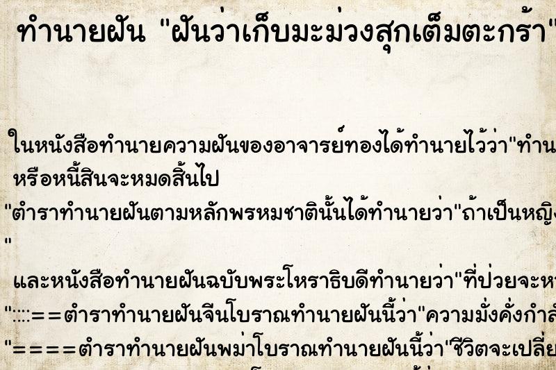 ทำนายฝันฝันว่าเก็บมะม่วงสุกเต็มตะกร้า ทำนายฝันทำนายฝันฝันว่าเก็บมะม่วงสุกเต็มตะกร้า
