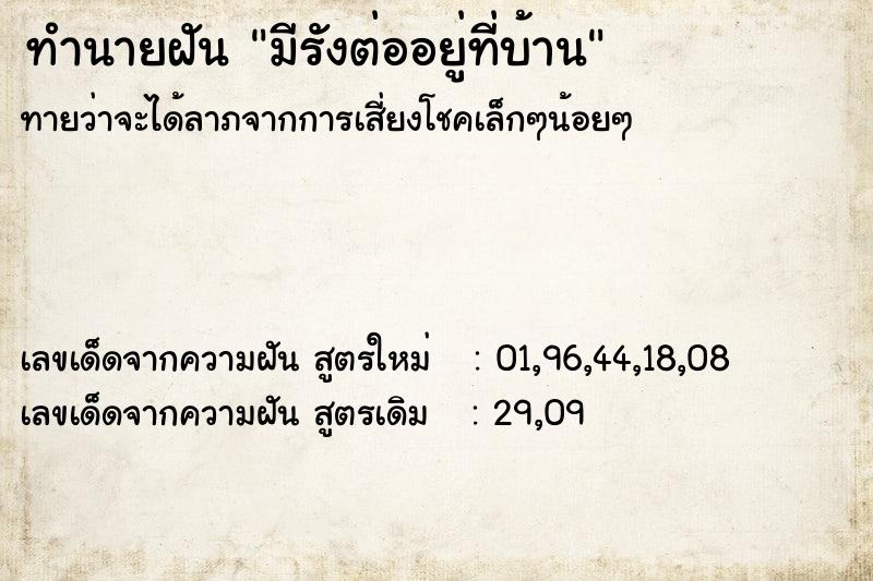 ทำนายฝันทำนายฝันมีรังต่ออยู่ที่บ้าน