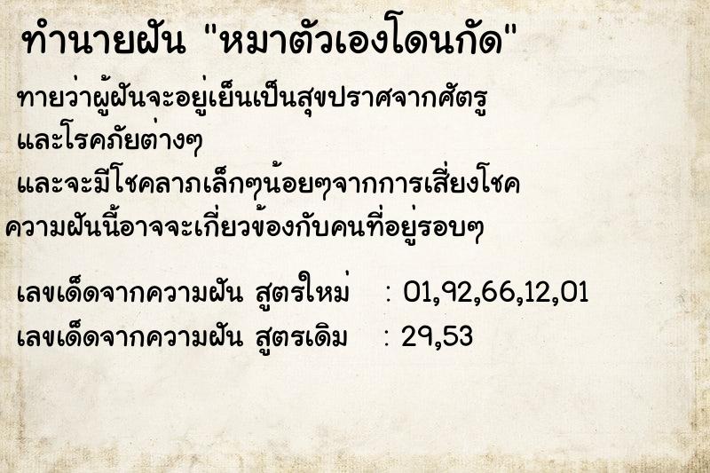 ทำนายฝันหมาตัวเองโดนกัด ทำนายฝันทำนายฝันหมาตัวเองโดนกัด