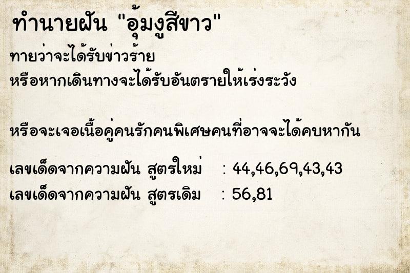 ทำนายฝันอุ้มงูสีขาว ทำนายฝันทำนายฝันอุ้มงูสีขาว