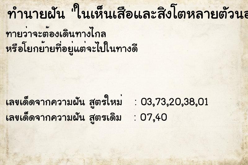 ทำนายฝันทำนายฝันในเห็นเสือและสิงโตหลายตัวนอนตายหน้าบ้าน