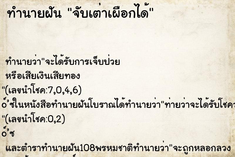 ทำนายฝันจับเต่าเผือกได้ ทำนายฝันทำนายฝันจับเต่าเผือกได้