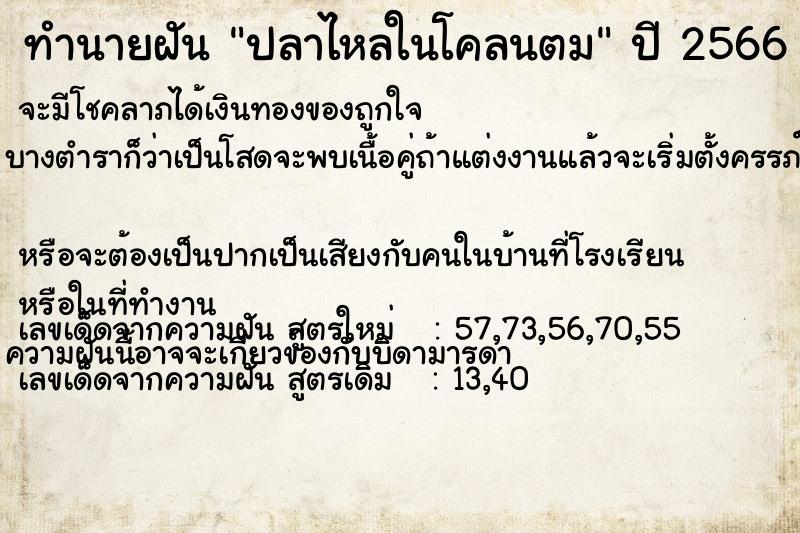 ทำนายฝัน ปลาไหลในโคลนตม