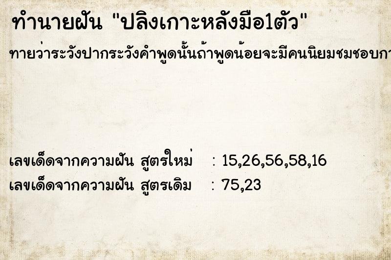 ทำนายฝันปลิงเกาะหลังมือ1ตัว ทำนายฝันทำนายฝันปลิงเกาะหลังมือ1ตัว