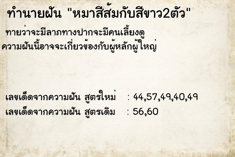 ทำนายฝันหมาสีส้มกับสีขาว2ตัว ทำนายฝันทำนายฝันหมาสีส้มกับสีขาว2ตัว
