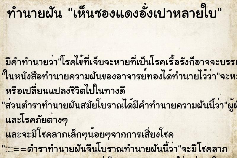 ทำนายฝันเห็นซองแดงอั่งเปาหลายใบ ทำนายฝันทำนายฝันเห็นซองแดงอั่งเปาหลายใบ