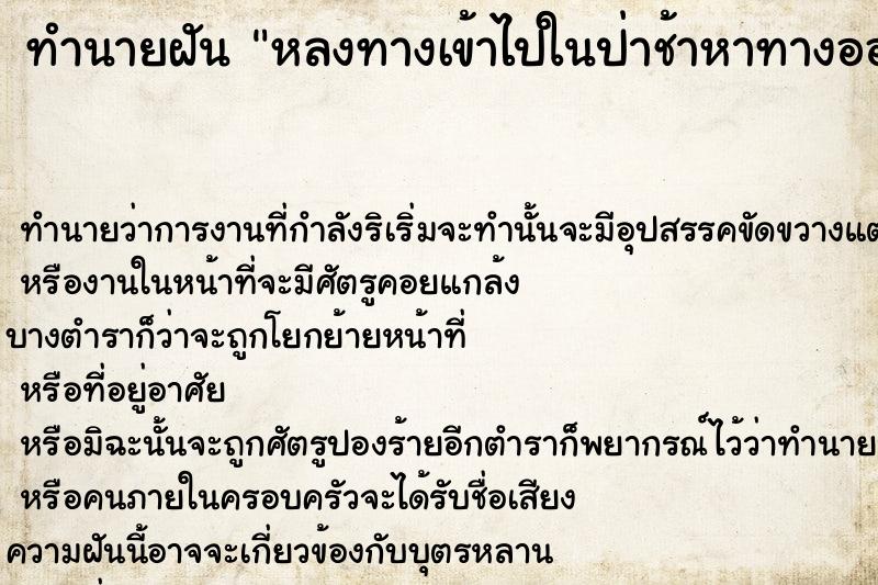 ทำนายฝัน หลงทางเข้าไปในป่าช้าหาทางออกไม่เจอ ทำนายฝัน หลงทางเข้าไปในป่าช้าหาทางออกไม่เจอ