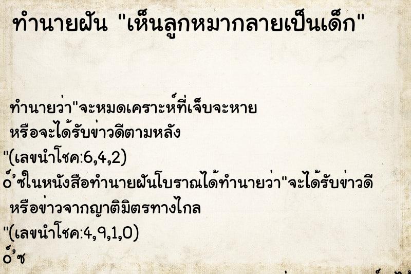 ทำนายฝันเห็นลูกหมากลายเป็นเด็ก ทำนายฝันทำนายฝันเห็นลูกหมากลายเป็นเด็ก