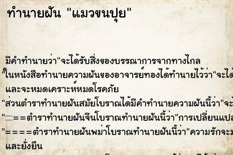 ทำนายฝันแมวขนปุย ทำนายฝันทำนายฝันแมวขนปุย