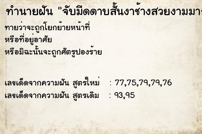 ทำนายฝันจับมีดดาบสั้นงาช้างสวยงามมาก ทำนายฝันทำนายฝันจับมีดดาบสั้นงาช้างสวยงามมาก