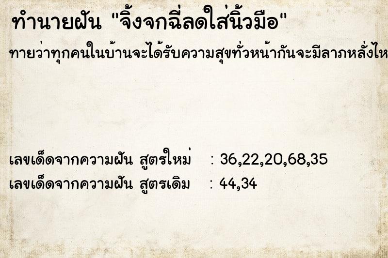 ทำนายฝันทำนายฝันจิ้งจกฉี่ลดใส่นิ้วมือ