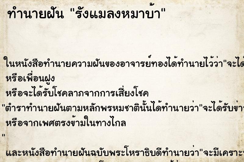 ทำนายฝัน รังแมลงหมาบ้า ทำนายฝัน รังแมลงหมาบ้า