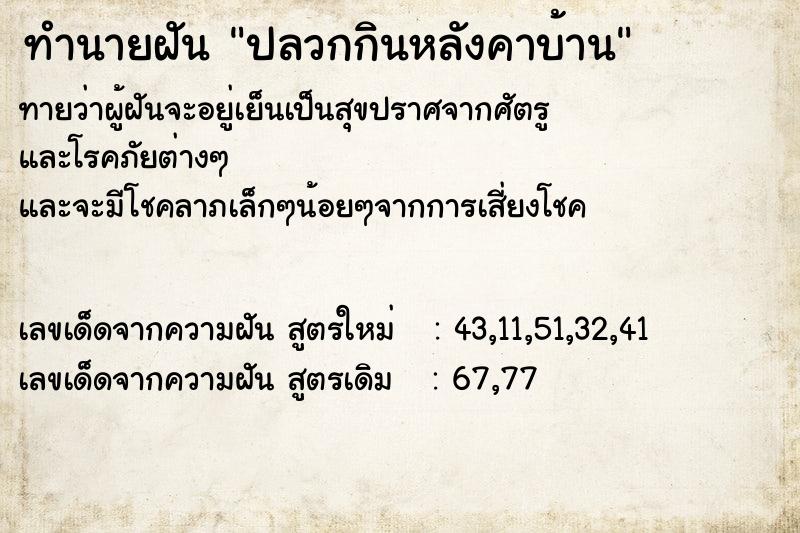 ทำนายฝันทำนายฝันปลวกกินหลังคาบ้าน