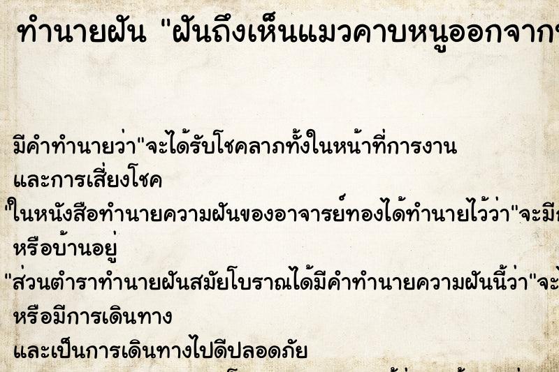 ทำนายฝันทำนายฝันฝันถึงเห็นแมวคาบหนูออกจากบ้าน