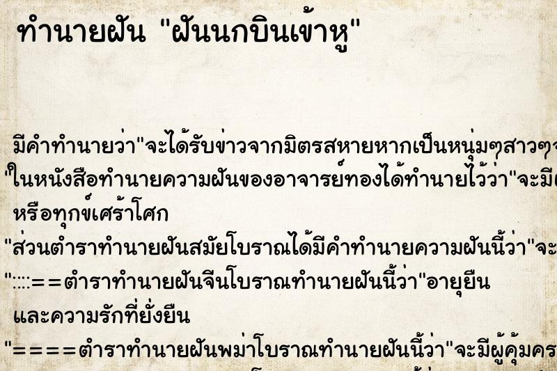ทำนายฝันฝันนกบินเข้าหู ทำนายฝันทำนายฝันฝันนกบินเข้าหู