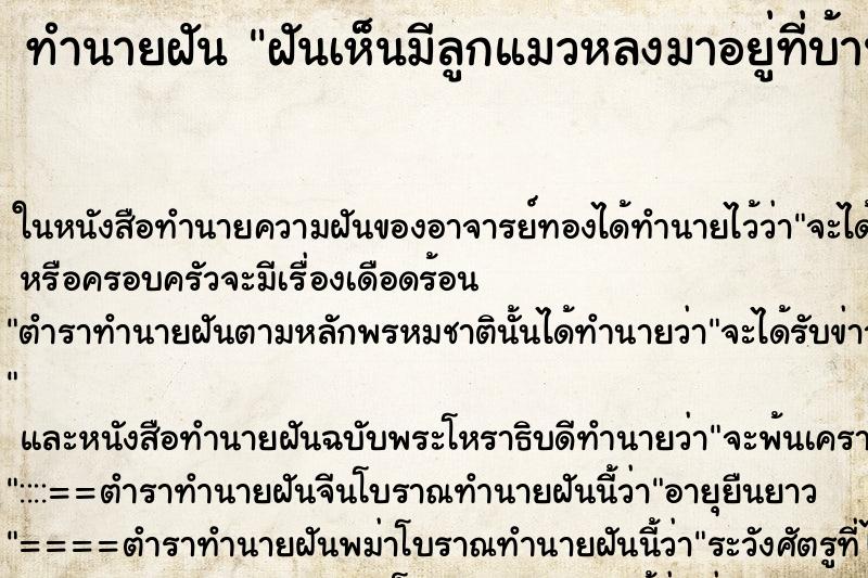ทำนายฝันฝันเห็นมีลูกแมวหลงมาอยู่ที่บ้าน ทำนายฝันทำนายฝันฝันเห็นมีลูกแมวหลงมาอยู่ที่บ้าน