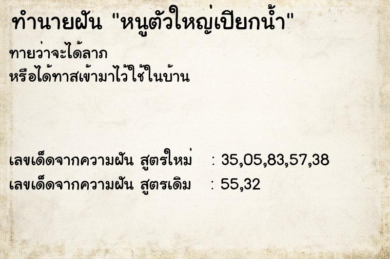 ทำนายฝัน หนูตัวใหญ่เปียกน้ำ ทำนายฝัน หนูตัวใหญ่เปียกน้ำ