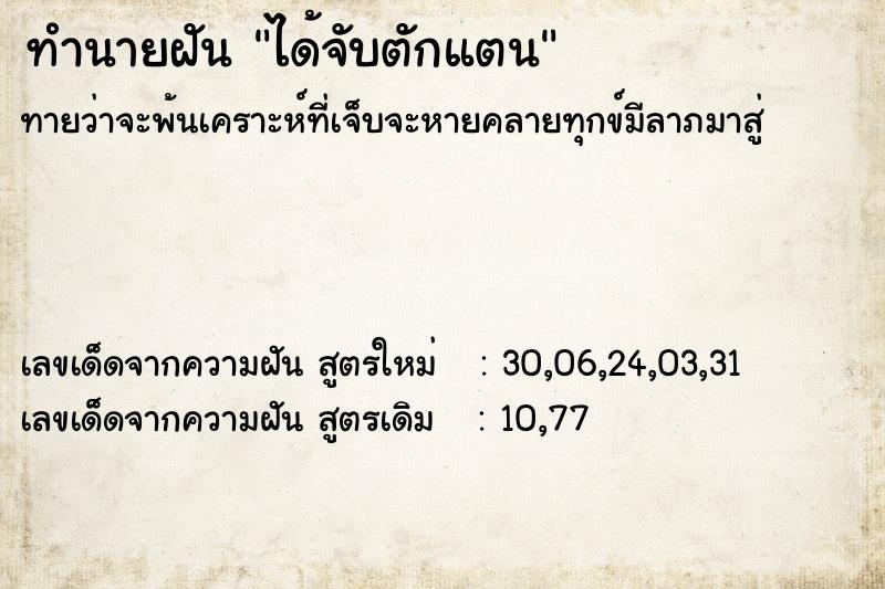 ทำนายฝันได้จับตักแตน ทำนายฝันทำนายฝันได้จับตักแตน