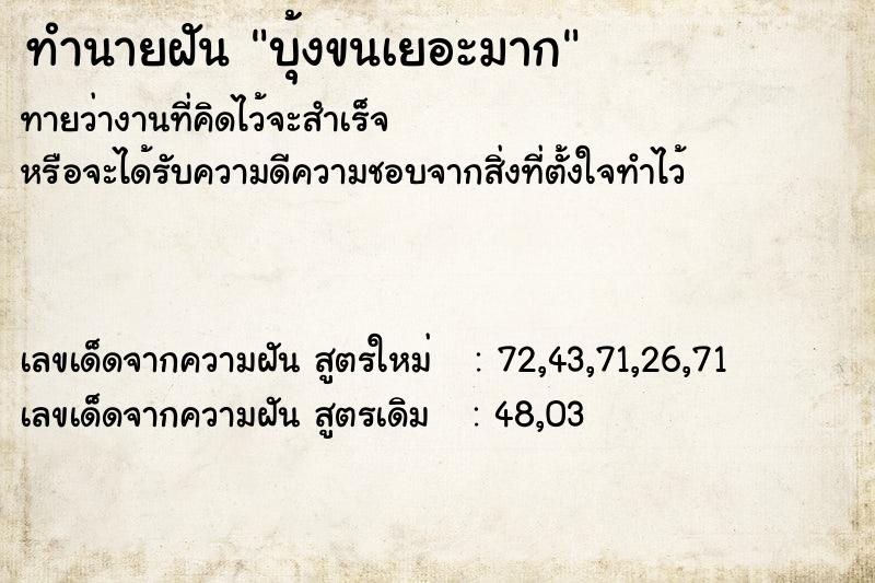 ทำนายฝันบุ้งขนเยอะมาก ทำนายฝันทำนายฝันบุ้งขนเยอะมาก