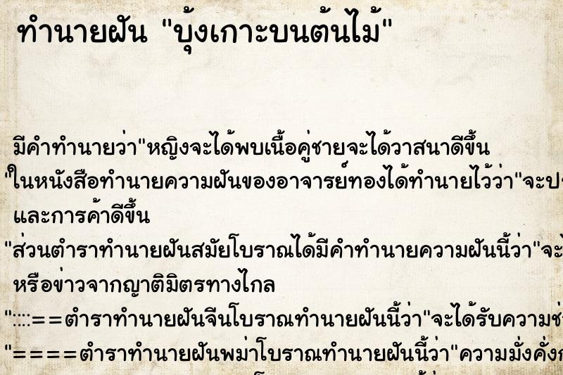 ทำนายฝัน บุ้งเกาะบนต้นไม้ ทำนายฝัน บุ้งเกาะบนต้นไม้