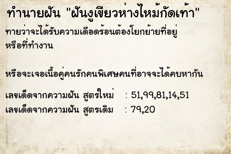 ทำนายฝัน ฝันงูเขียวห่างไหม้กัดเท้า