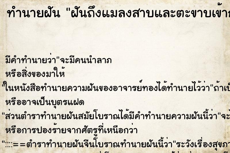 ทำนายฝัน ฝันถึงแมลงสาบและตะขาบเข้ากางเกงใน ทำนายฝัน ฝันถึงแมลงสาบและตะขาบเข้ากางเกงใน