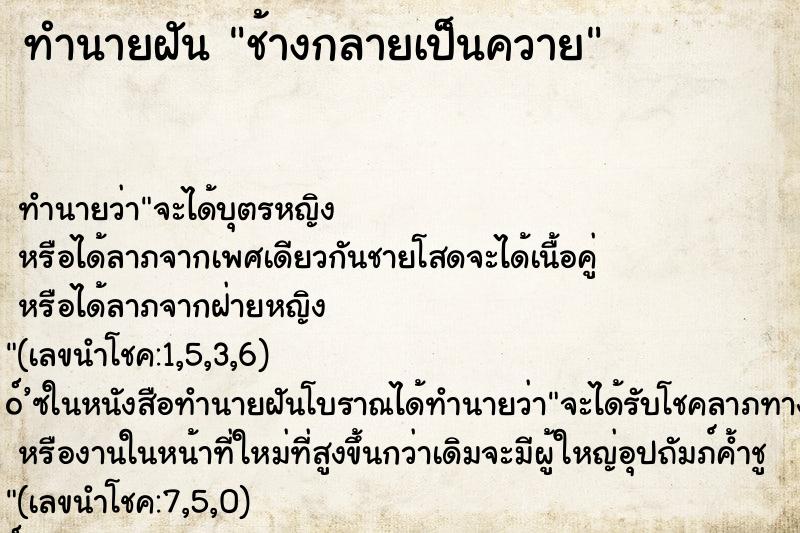 ทำนายฝันช้างกลายเป็นควาย ทำนายฝันทำนายฝันช้างกลายเป็นควาย