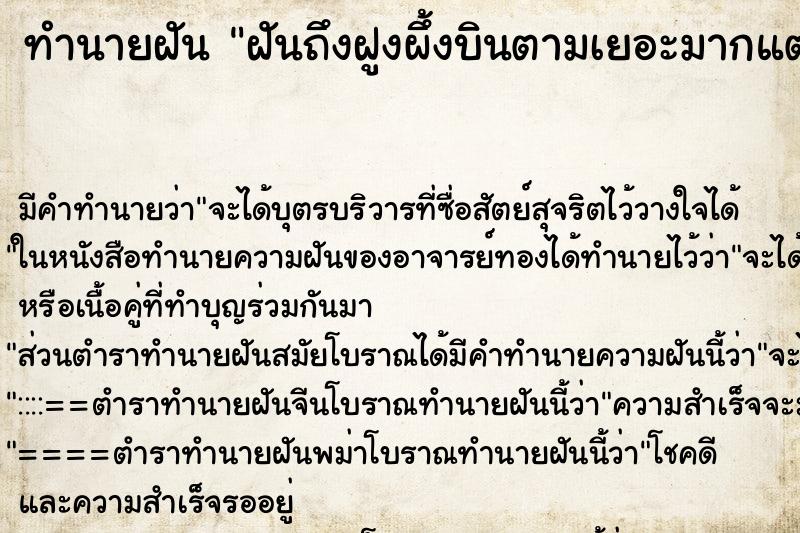 ทำนายฝันทำนายฝันฝันถึงฝูงผึ้งบินตามเยอะมากแต่ไม่ทำร้าย