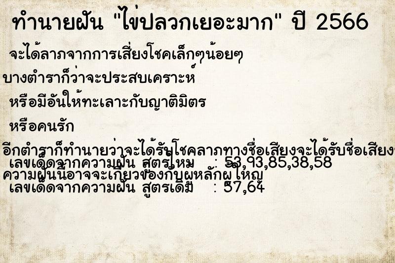 ทำนายฝันทำนายฝันไข่ปลวกเยอะมาก