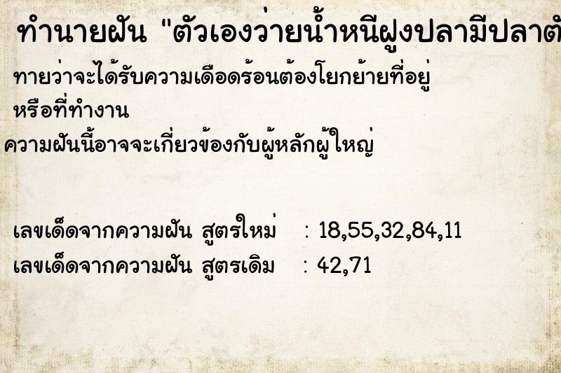 ทำนายฝันตัวเองว่ายน้ำหนีฝูงปลามีปลาตัวใหญ่ว่ายตาม ทำนายฝันทำนายฝันตัวเองว่ายน้ำหนีฝูงปลามีปลาตัวใหญ่ว่ายตาม